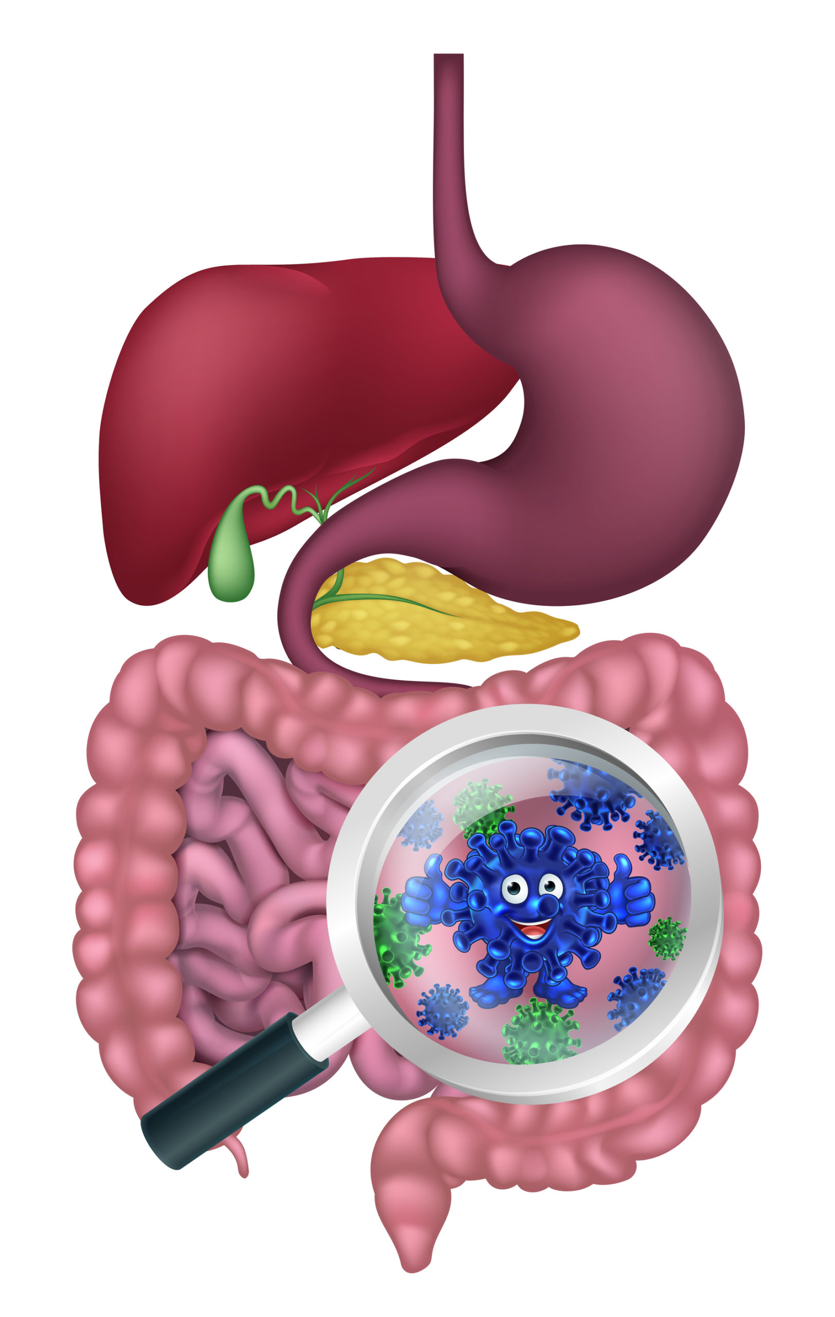 the-effect-of-antibiotics-on-the-gut-microbiome-lasting-change-health